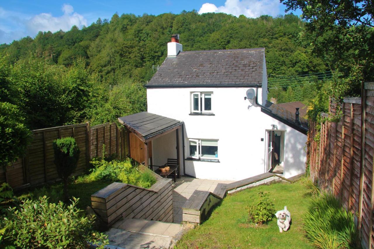 Peacock Cottage Cinderford Eksteriør billede